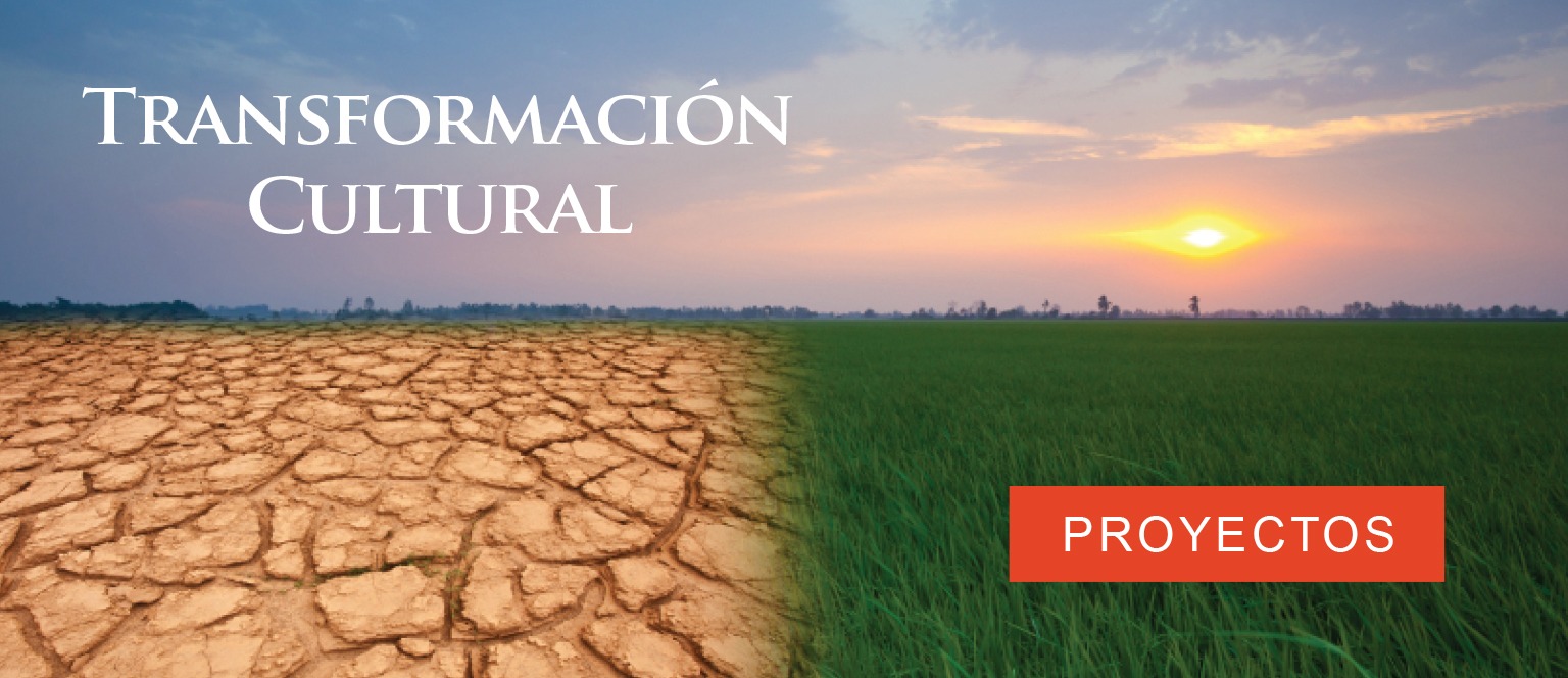 transformacion-cultural-2