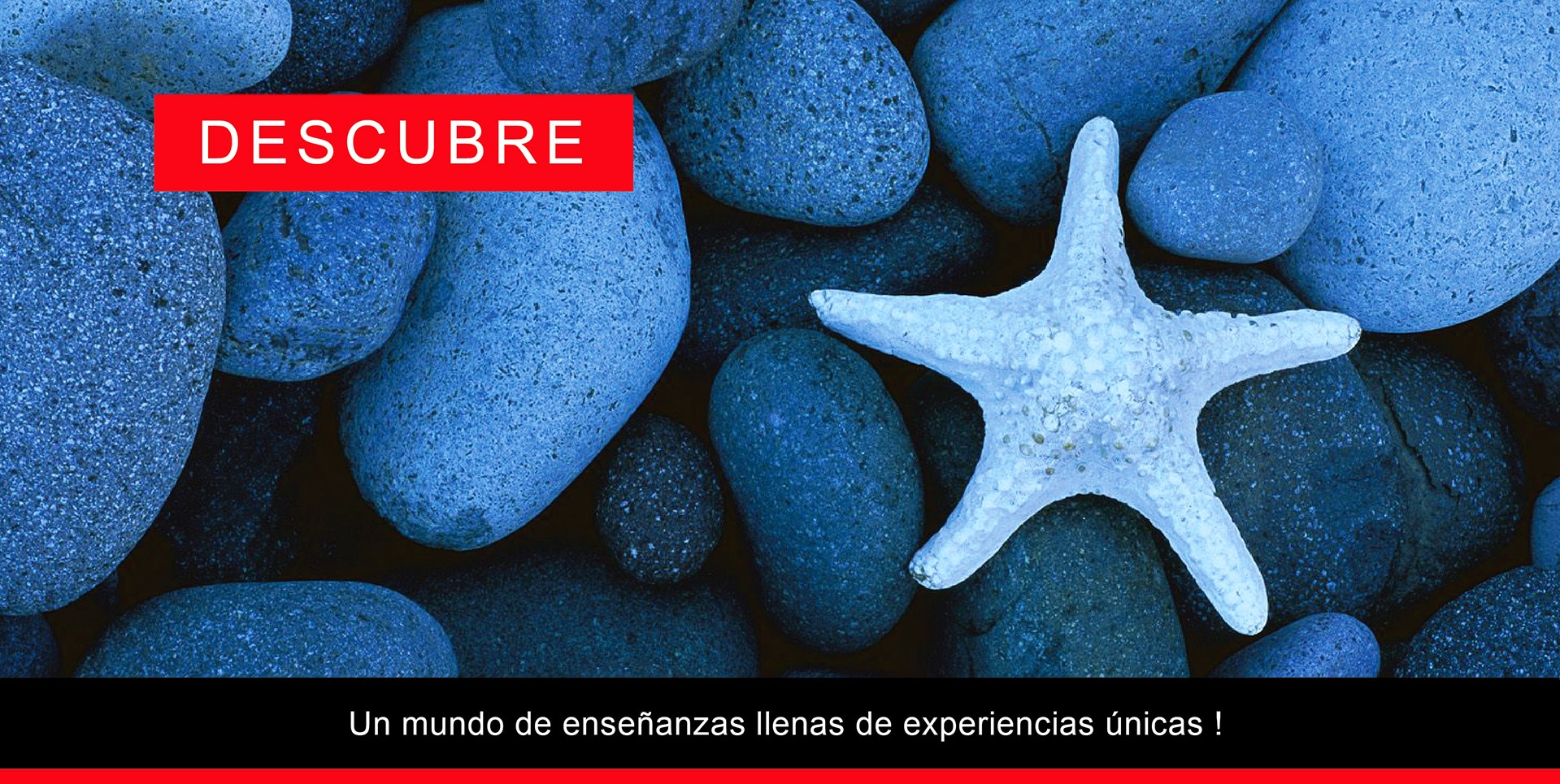 luis-jorge-slide-descubre