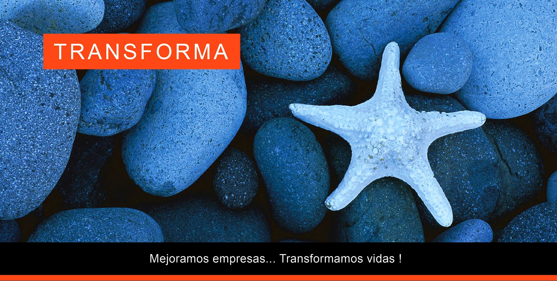 luis-jorge-slide-transforma