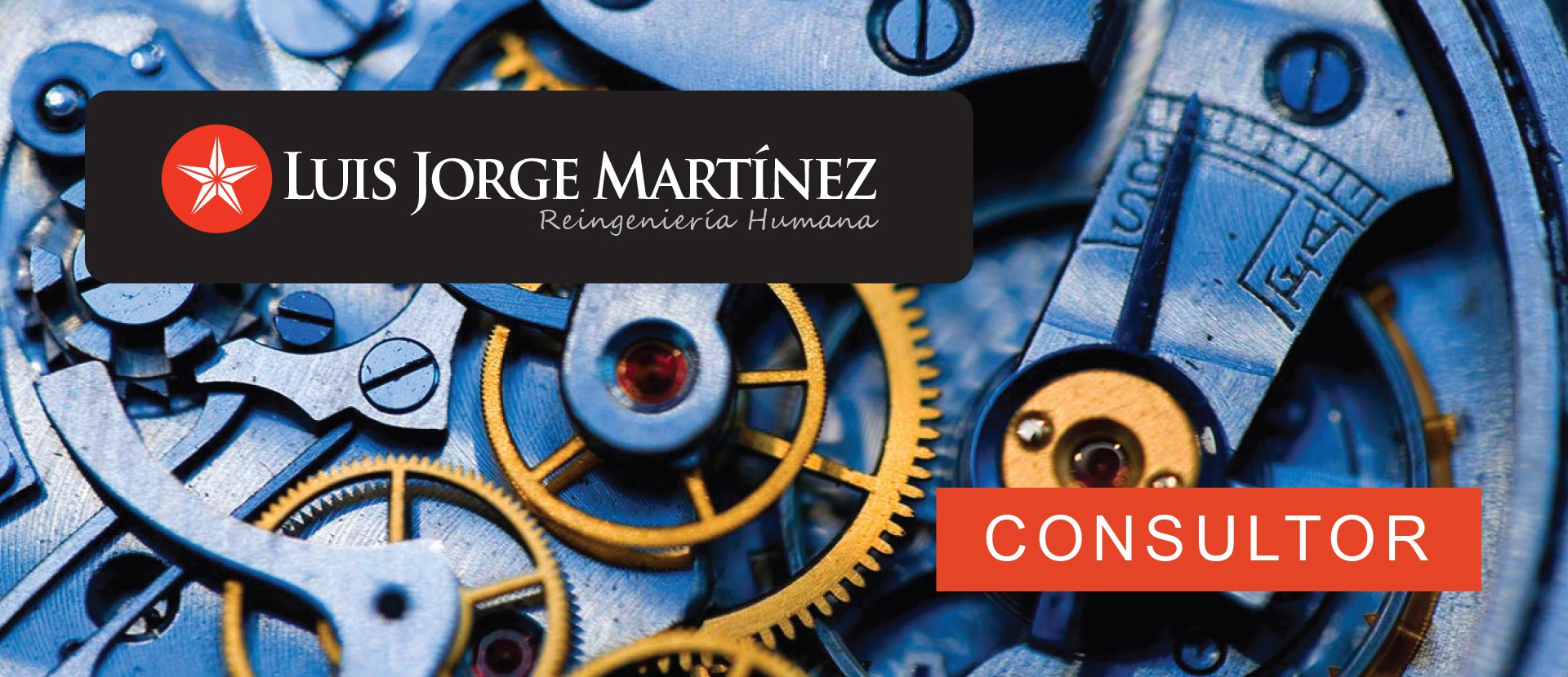 consultor-slide-1