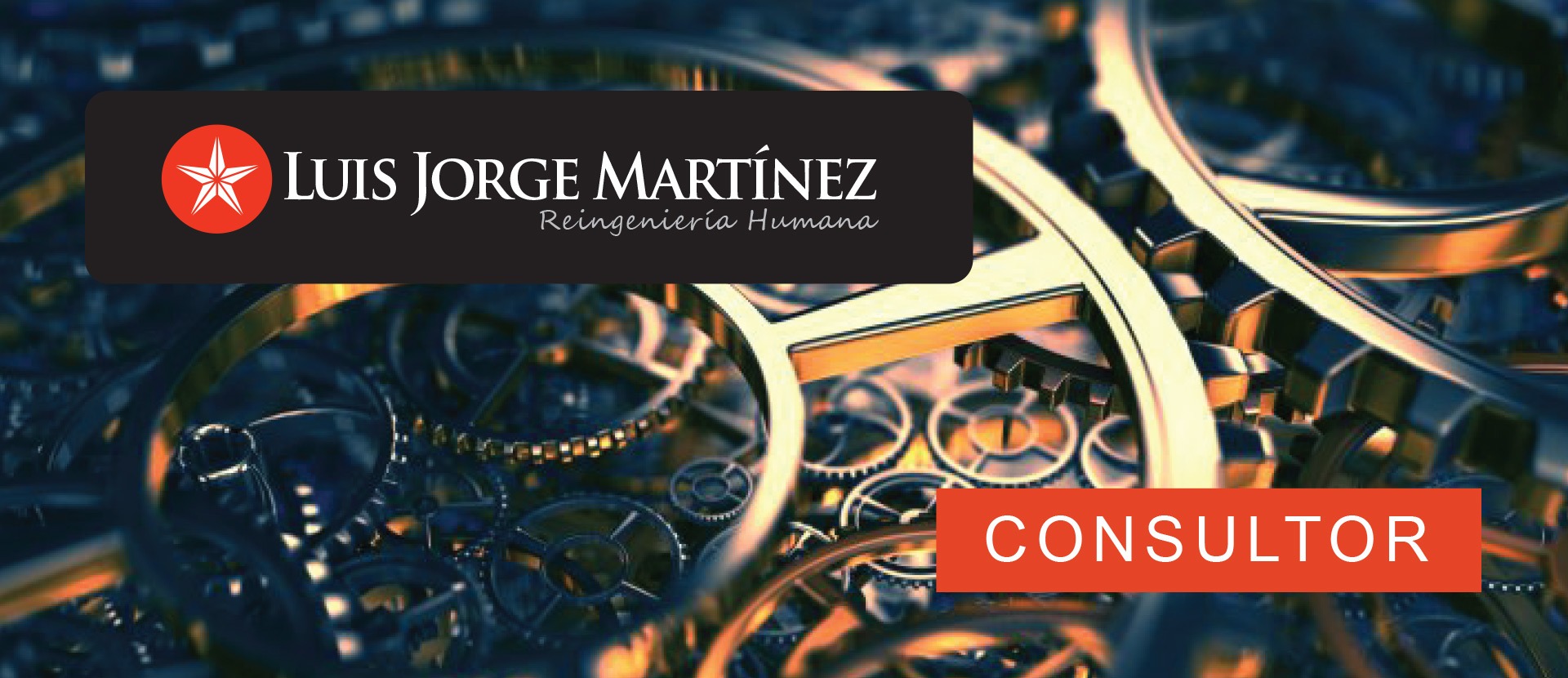 consultor-slide-2