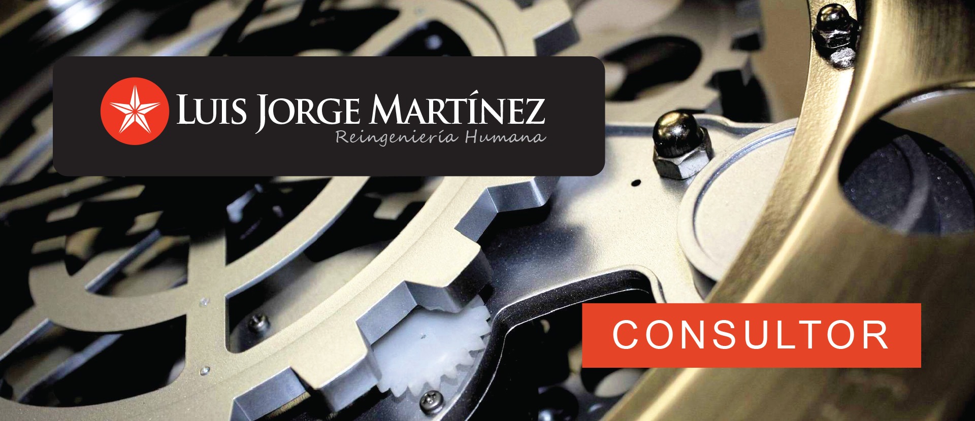consultor-slide-3