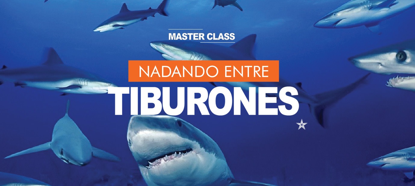 nadando-entre-tiburones-slide-1