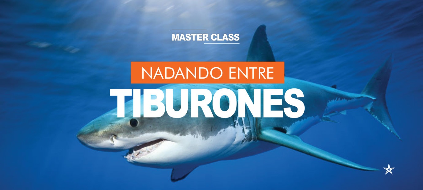 nadando-entre-tiburones-slide-2